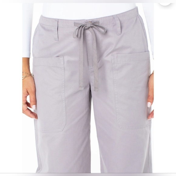 Celebrity Pink Butter Twill Wide Leg Pants Gray Size Large NWT Oversied Relaxed - Picture 3 of 10